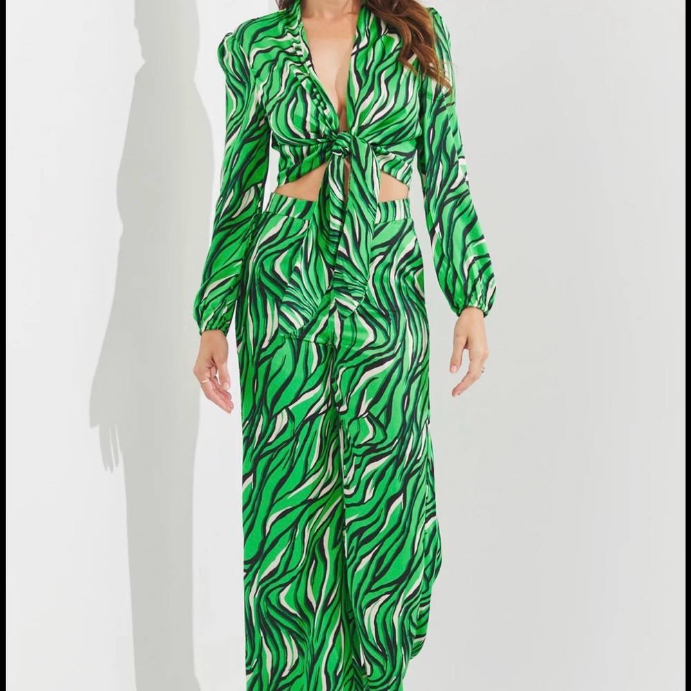 Lilly’s Kloset Zebra Print  Set